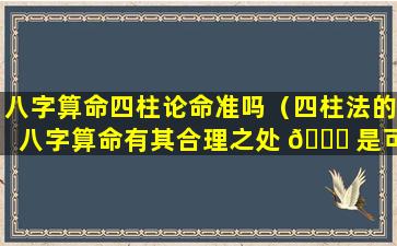 八字算命四柱论命准吗（四柱法的八字算命有其合理之处 🐅 是可信的吗）